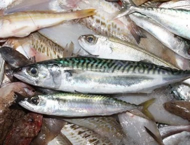 Πειραιάς: Κατασχέθηκαν ακατάλληλα ψάρια από λαϊκή αγορά